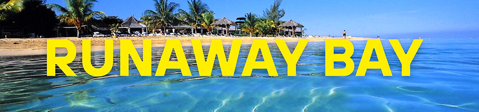 Pink Photo Collage Email Header_edited.j