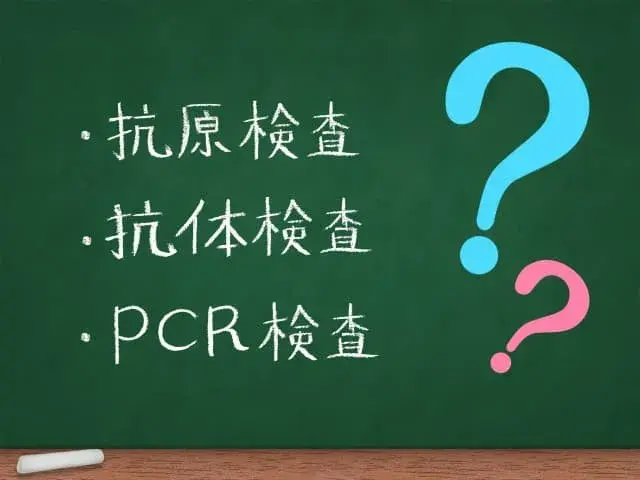 IgG抗体とは?免疫の仕組みと、パフォーマンスを左右する遅延型アレルギーの真実