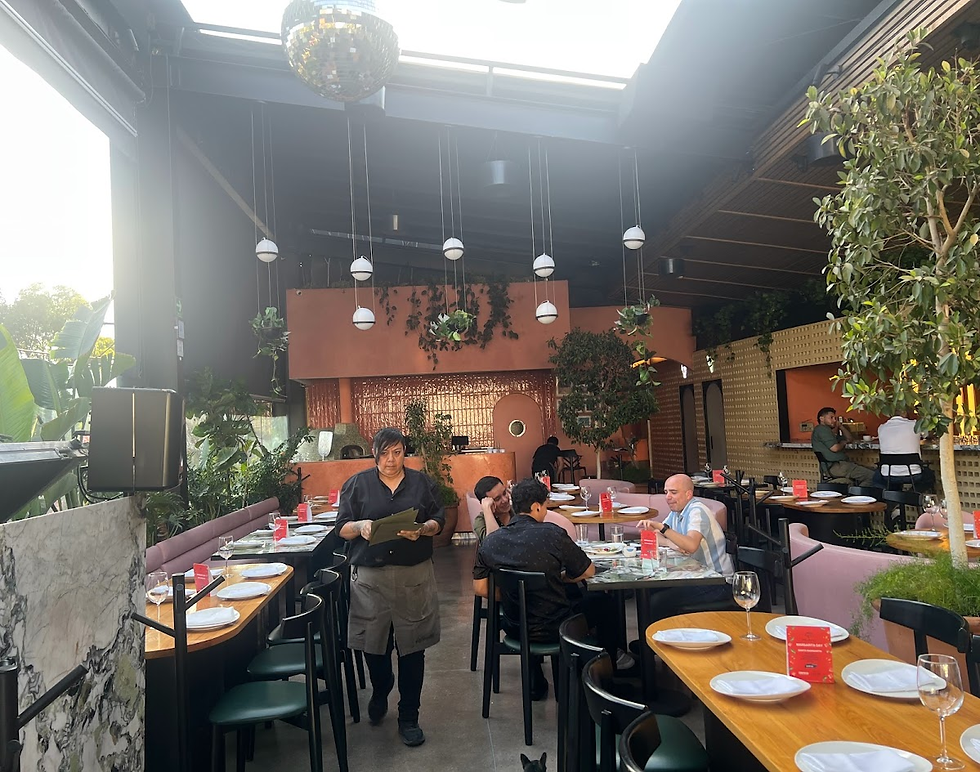 Looking back toward the pizza oven from our table. Note the retractable roof & the disco ball