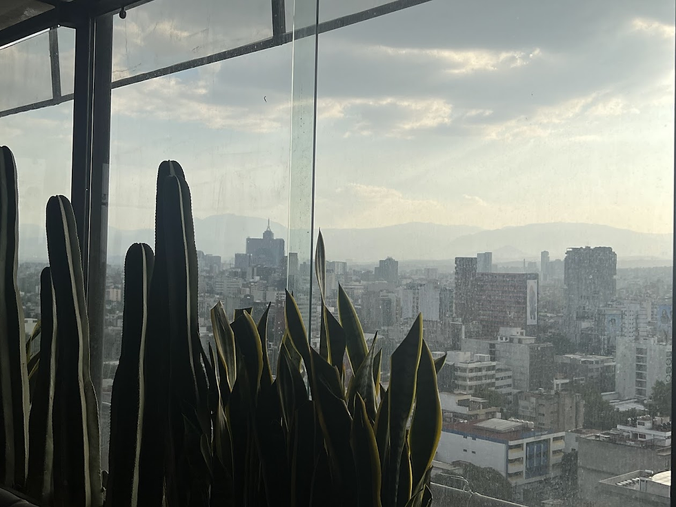 Another view of Mexico City from the 14th Floor of Supra Roma Rooftop Restaurant & Bar