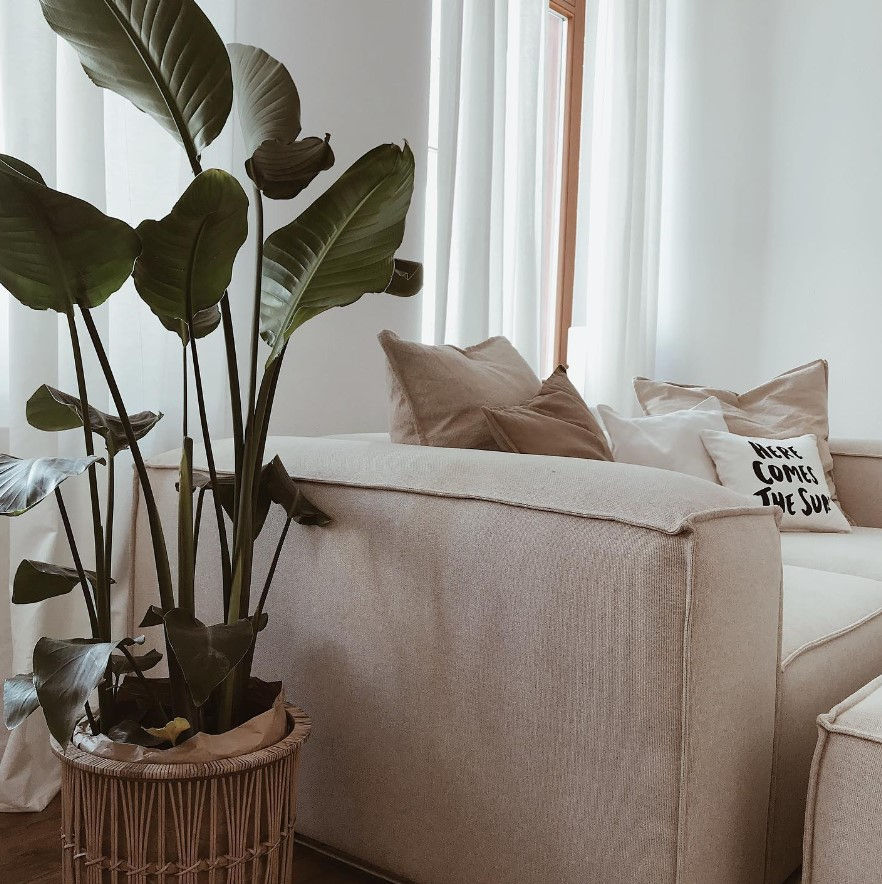 Μικρογραφία: ΩΡΙΩΝ ΠΟΛΥΜΟΡΦΙΚΟΣ ΚΑΝΑΠΕΣ 220Χ200