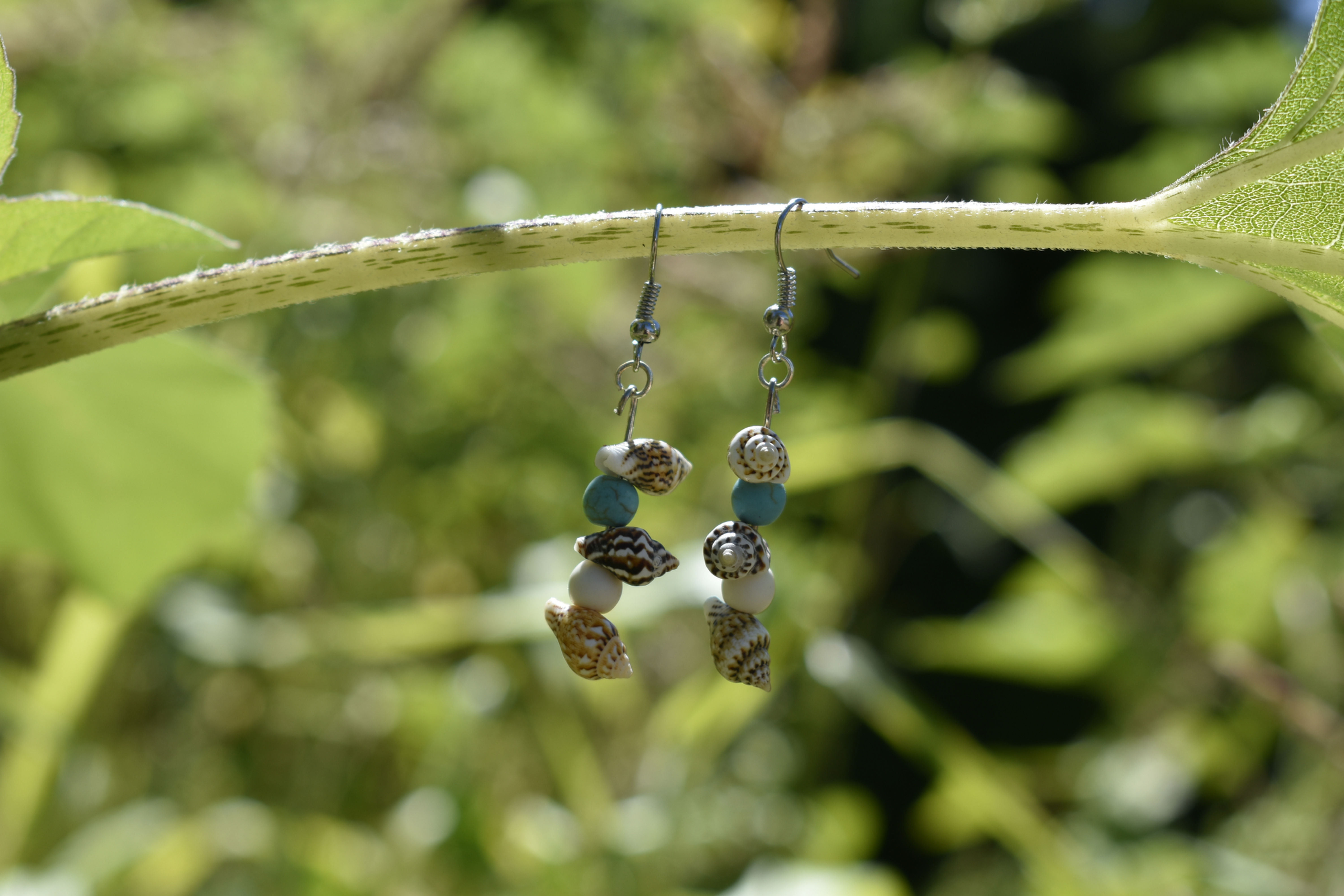 simple shell earrings