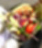 IMG_4366 (1)_edited_edited.jpg