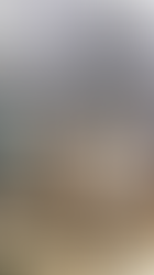 # 3 Private Models Vid