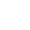 diseñamos.png