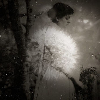 Superimposed #7.jpeg