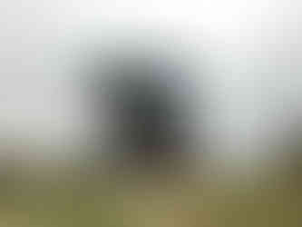 Natuur Klimaat Vegan Holistisch