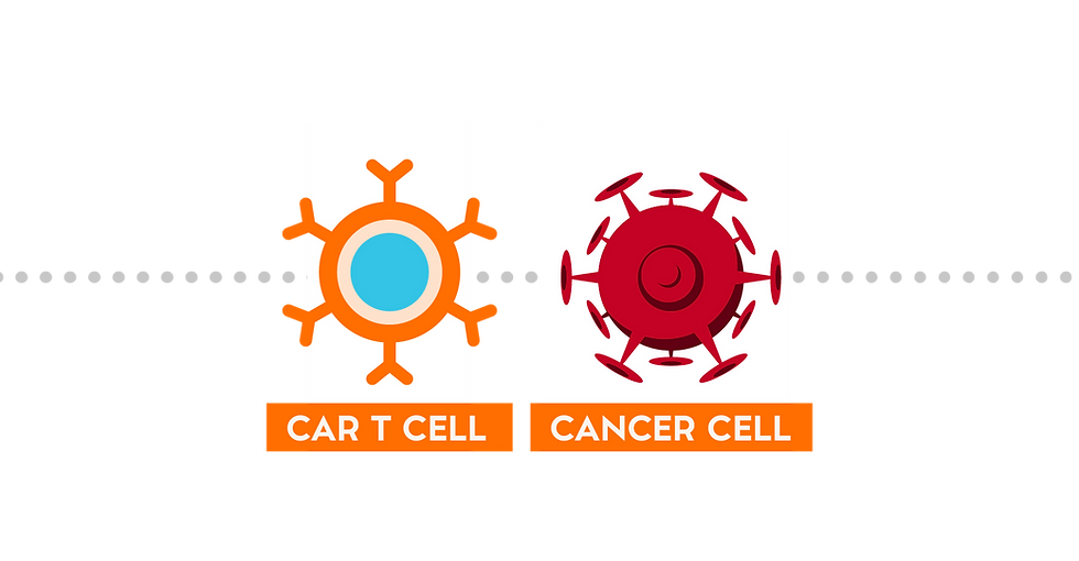 CAR T PROCESS MASTER_FINDING.png