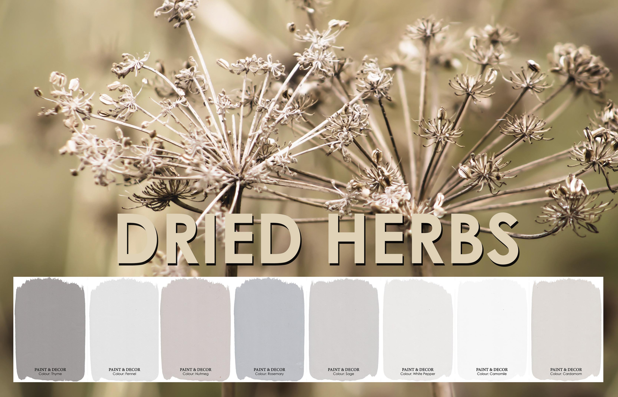 Dried Herbs Paint Colour Collection paintanddecor