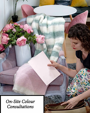 On-site colour consultation.jpg