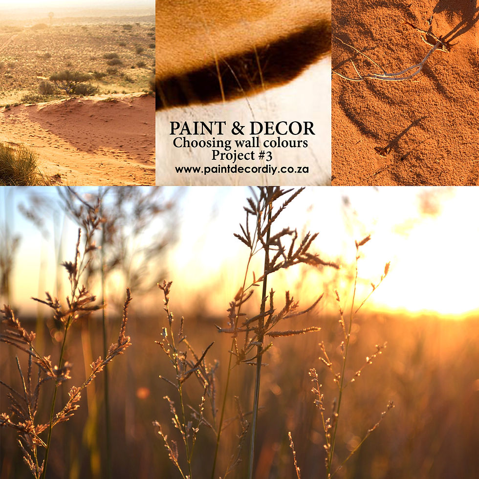 Inspiration from the Kalahari
