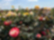 background.JPEG