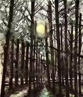 Sunlight penetrating through the Taxodium Forest - GINNY DEN (2).avif