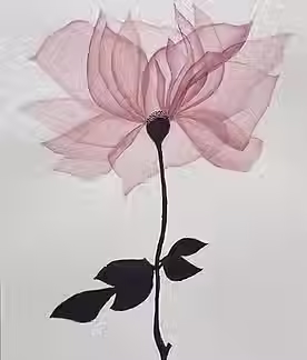 quartz rose- Artem Pavlyukov.avif
