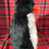 Thumbnail: Percy Penguin Kit