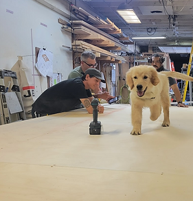 Shop photo -- working on layout w. puppy help!.png