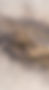 Sion_abstrakt_mobile.jpg