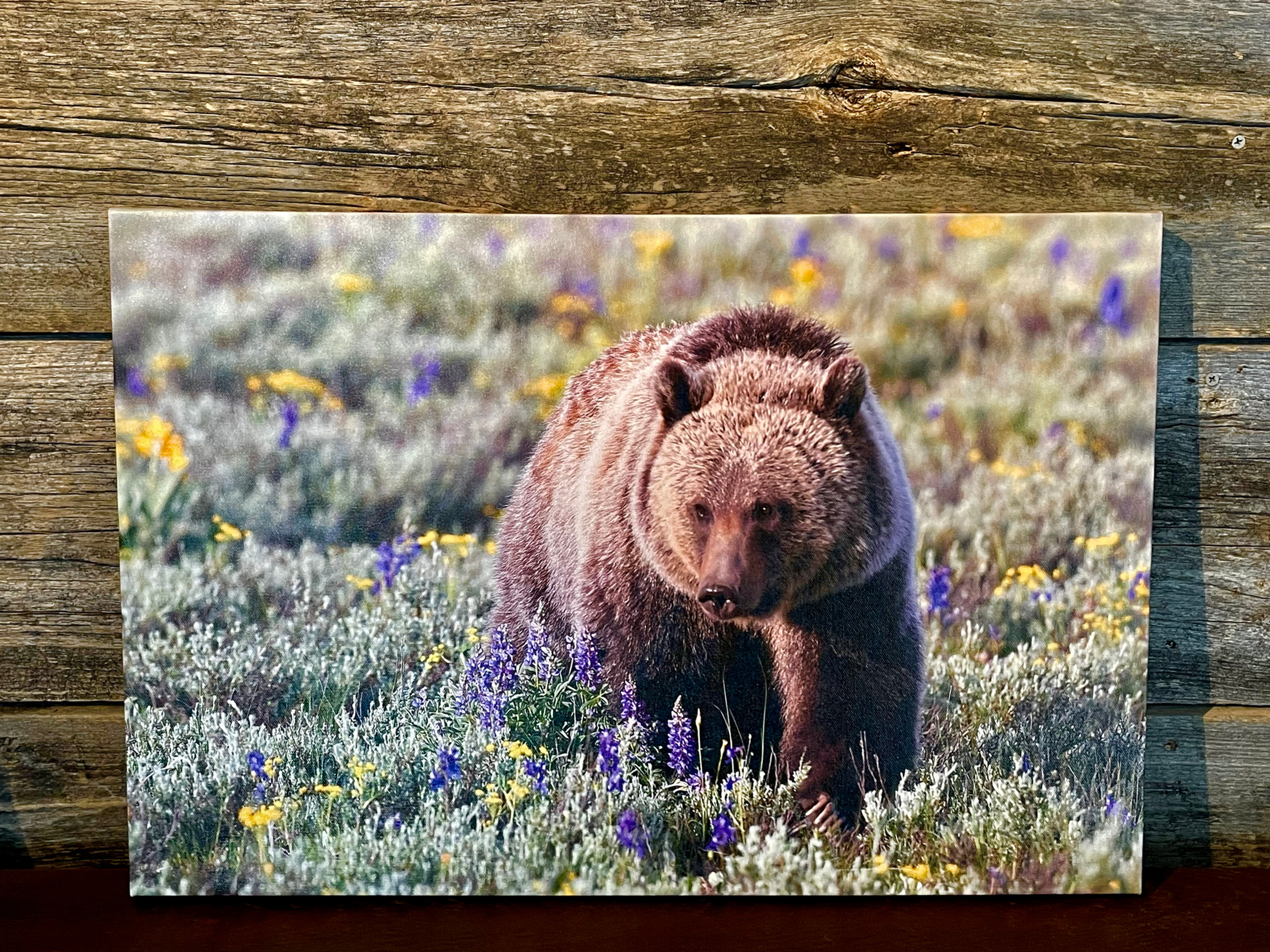 16X24 Canvas or Metal Prints