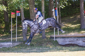 ALambert_Killinick Lace.jpg