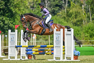 SDunahoo_Sharp Stanza_2.jpg