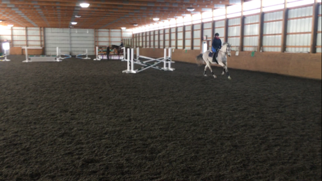 Lessons in jumping...