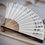 縮圖：custom fan