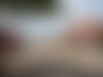 Case Study: The Retail Coach Helps Fire-Ravaged Bastrop, TX Focus on Retail Recovery