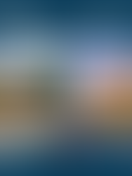 Webinar: Developing Strong Downtowns