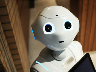 The AI Trust Paradox: Navigating the New Covenant Between Leadership and Machine