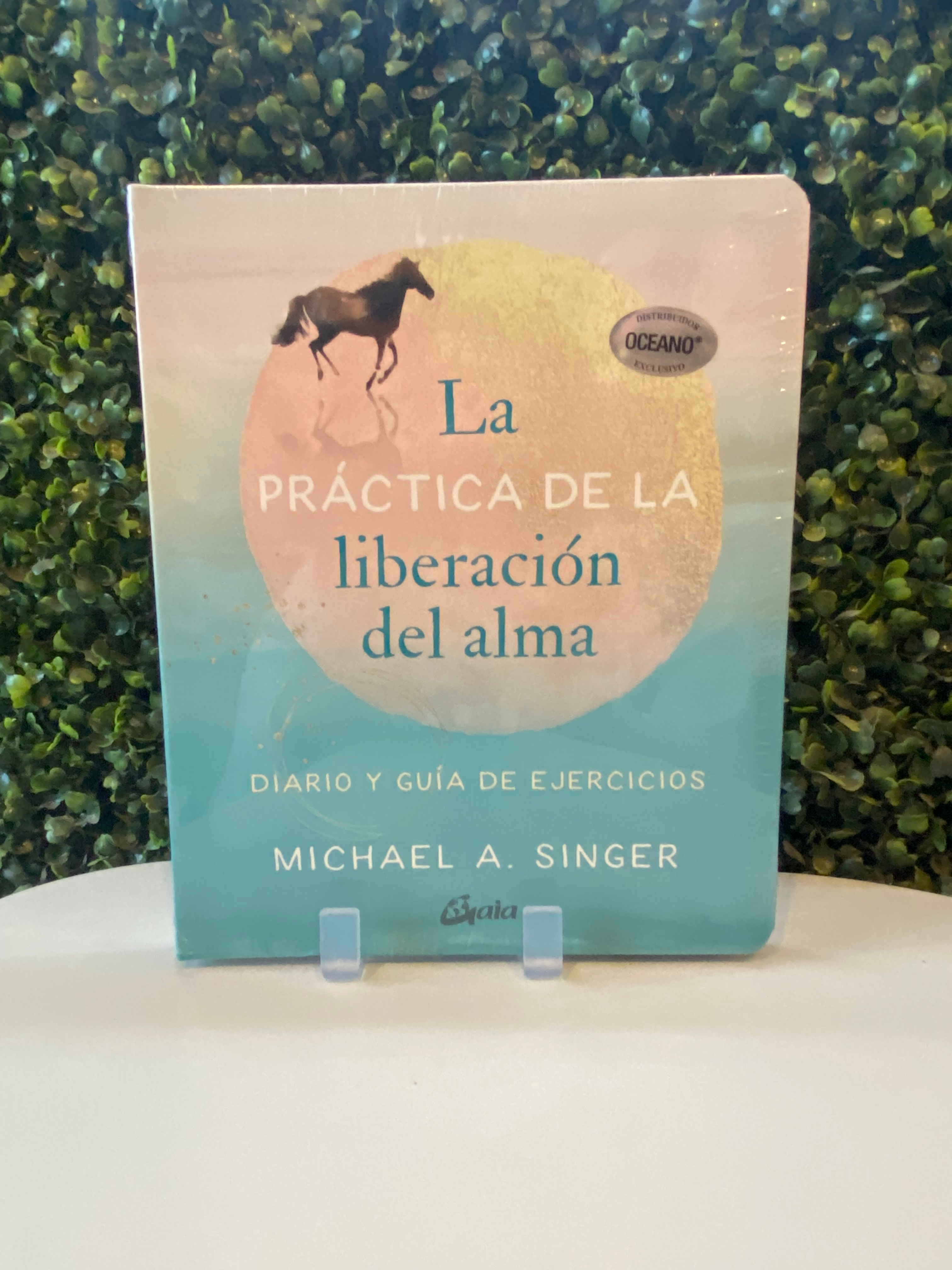 La Práctica De La Liberación Del Alma. Diario Y Guía De Ejercicios