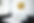 Free Office Room Mockup (17).png