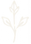white leaf