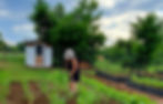 a woman working in the vegetable garden