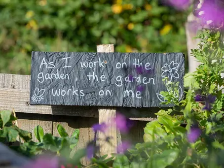 The Joys of Holistic Living: How Gardening Helps you Slow Down