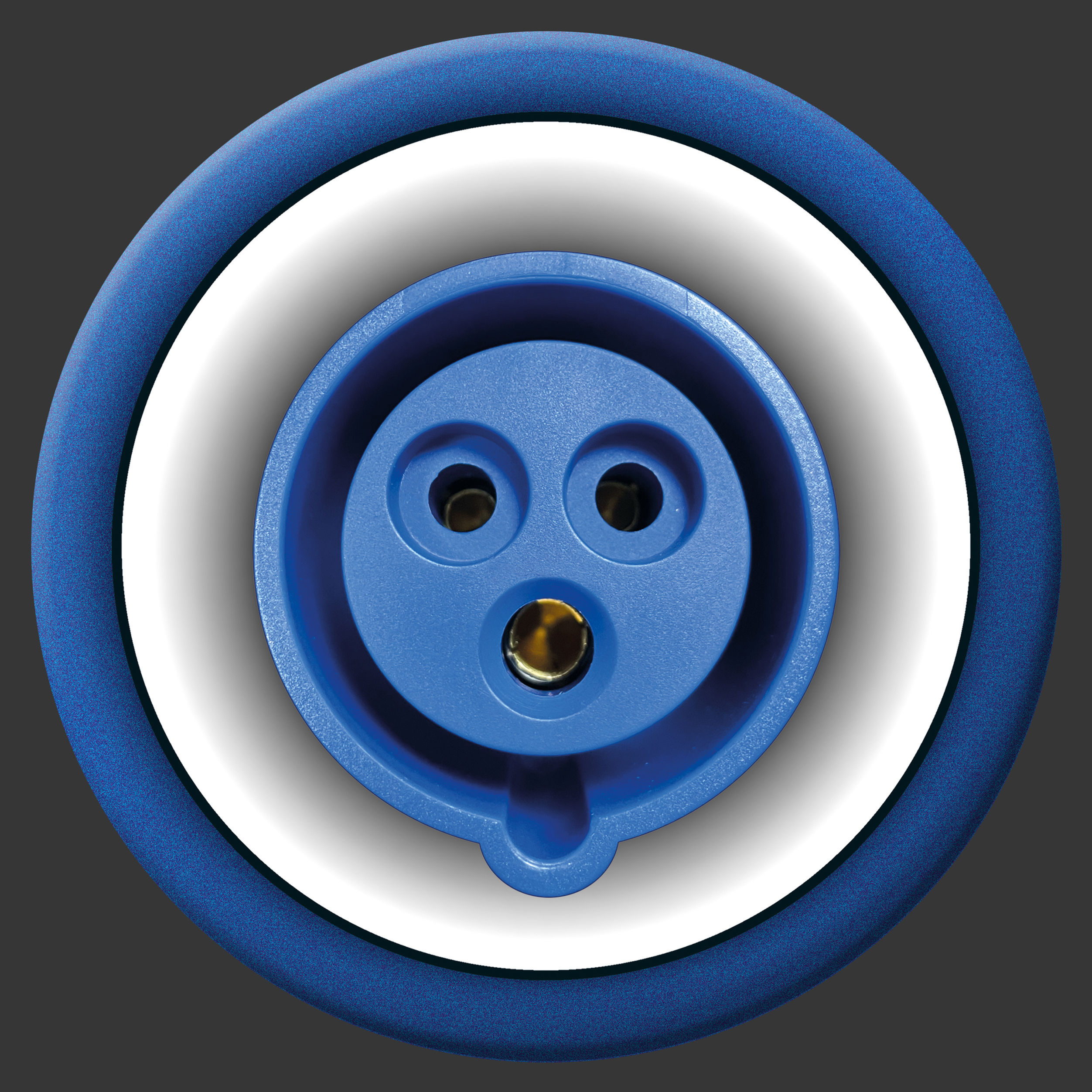 Wechsel-Emblem CEE Steckdose