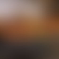 Riso rosso con lenticchie e carciofi