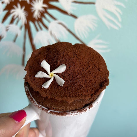 Torta in tazza al cioccolato 🍫 ☕️