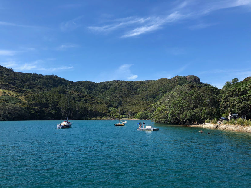 Water, trees, beach, boats