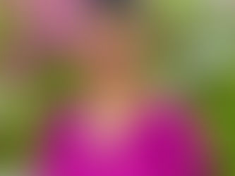 Six Questions with Marie Boyd