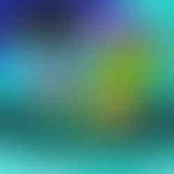 パコ絵画教室の作品