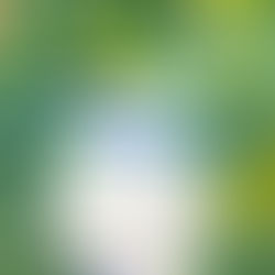 小学生【黄・青・白だけで花瓶と花】木曜日クラス