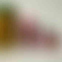 パコ絵画教室の作品