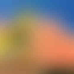 パコ絵画教室の作品