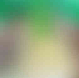 パコ絵画教室の作品