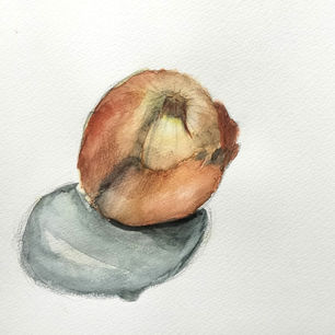 小学生【玉ねぎ水彩画】