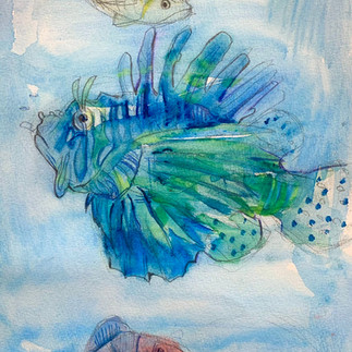 パコ絵画教室の作品