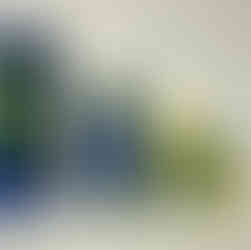 パコ絵画教室の作品