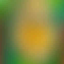 パコ絵画教室の作品