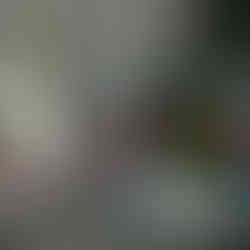 子供を描く井上