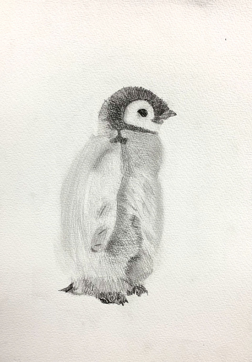 パコ絵画教室の作品